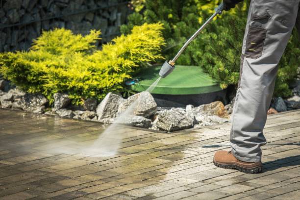 Best Roof Washing  in Corcoran, MN