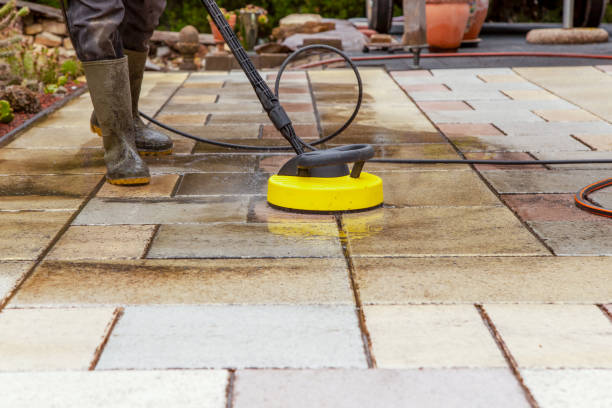 Best Gutter Cleaning  in Corcoran, MN