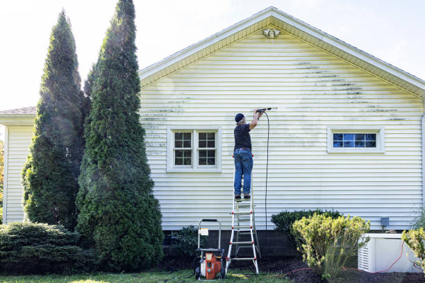 Boat and Dock Cleaning in Corcoran, MN